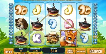 Foxy Fortunes: Pagos