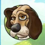 Foxy Fortunes: Perro