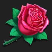 Foxy Wild Heart: Rosa