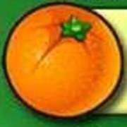 Fruit Fiesta 5 Reel - Progressive: Naranja