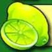 Fruit Fiesta 5 Reel - Progressive: Cal