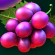 Fruit Loop: Uvas