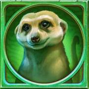 Gator Gold Deluxe Gigablox: Suricata