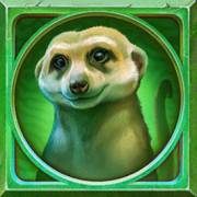Gator Gold Gigablox: Suricata