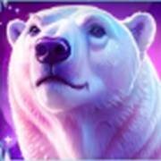 Giga Match North Pole: Oso