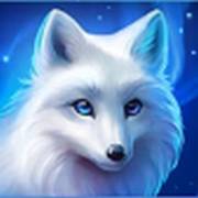 Giga Match North Pole: Lobo