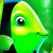 Gold Fish Feeding Time Treasure: Pez Verde