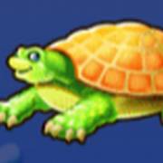 Gold Fish Feeding Time Treasure: Tortuga