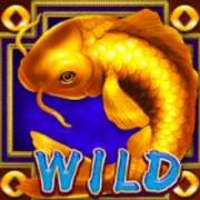 Golden Fish: Salvaje