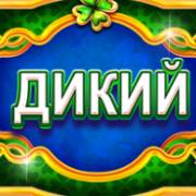 Golden Leprechaun's Mystery: Salvaje