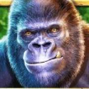 Gorilla Mayhem: Gorila