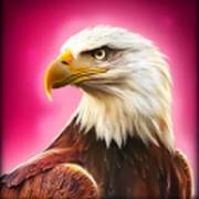 Grand Bison: Águila