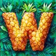 Hawaiitopia: Salvaje