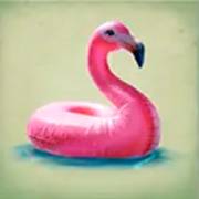 Hawaiitopia: Cisne