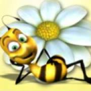 Honey Buziness: Una abeja con una flor