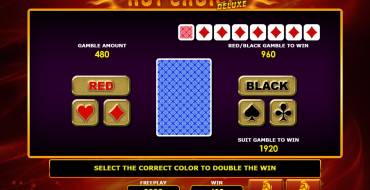 Hot Choice Deluxe: Juego de riesgo
