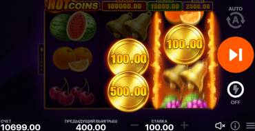 Hot Coins Hold and Win: Características únicas