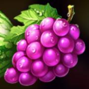 Hot Coins Hold and Win: Uvas