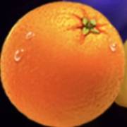 Hot Coins Hold and Win: Naranja