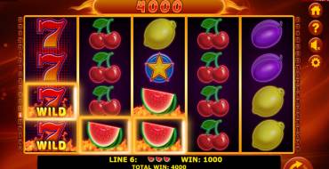 Hot Fruits 40: Ganancias