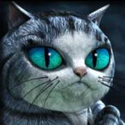 House of Fun: Gato