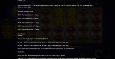 Hyper Blitz Hold and Win: Reglas