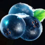 Ice Cold Fruits: Arándanos