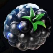Ice Cold Fruits: Blackberry