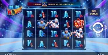 Ice Ice Hockey: Diseño
