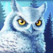 Icy Wilds: Búho