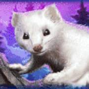 Icy Wilds: Zorro ártico