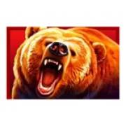 Immortal Ways Buffalo: Oso