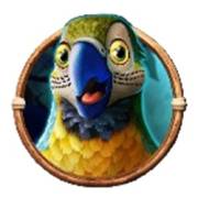 Jumbo Safari: Loro
