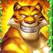 Jungle Stripes: Salvaje