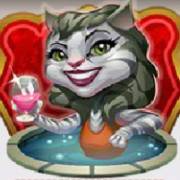 Kitty Cabana: Un gato en un jacuzzi