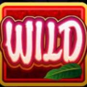 Kitty Cabana: Salvaje