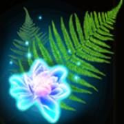 Kupala: Helecho