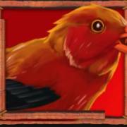 Lady Lava: Pájaro