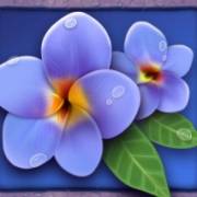 Lady Lava: Flores