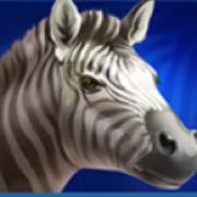 Lion Gems: Hold and Win: Cebra