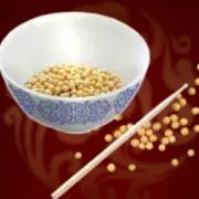 Lucky Casino: Alimentación