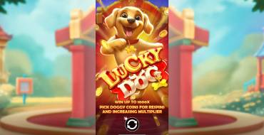 Lucky Dog: Características únicas