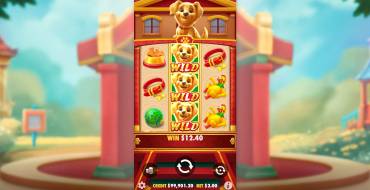 Lucky Dog: Ganancias