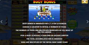 Lucky Larry`s Lobstermania Slingo: Características únicas