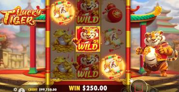 Lucky Tiger: Ganancias