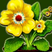 Lucky Wood: Flor