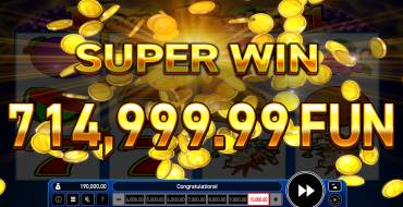 Magic Fruits 81: Ganancias