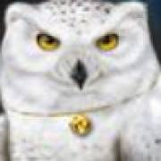 Magic Owl: Búho