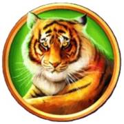 Magical Lamp: Tigre