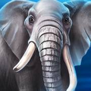 Majestic Gold Megaways: Elefante